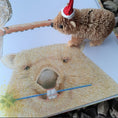 Load image into Gallery viewer, A Little Bush Fairy - Maggie May Gordon - Pepper Tree Kids