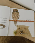 Load image into Gallery viewer, A Little Bush Fairy - Maggie May Gordon - Pepper Tree Kids