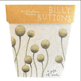 Load image into Gallery viewer, Billy Buttons Gift of Seeds - Sow n Sow - Pepper Tree Kids