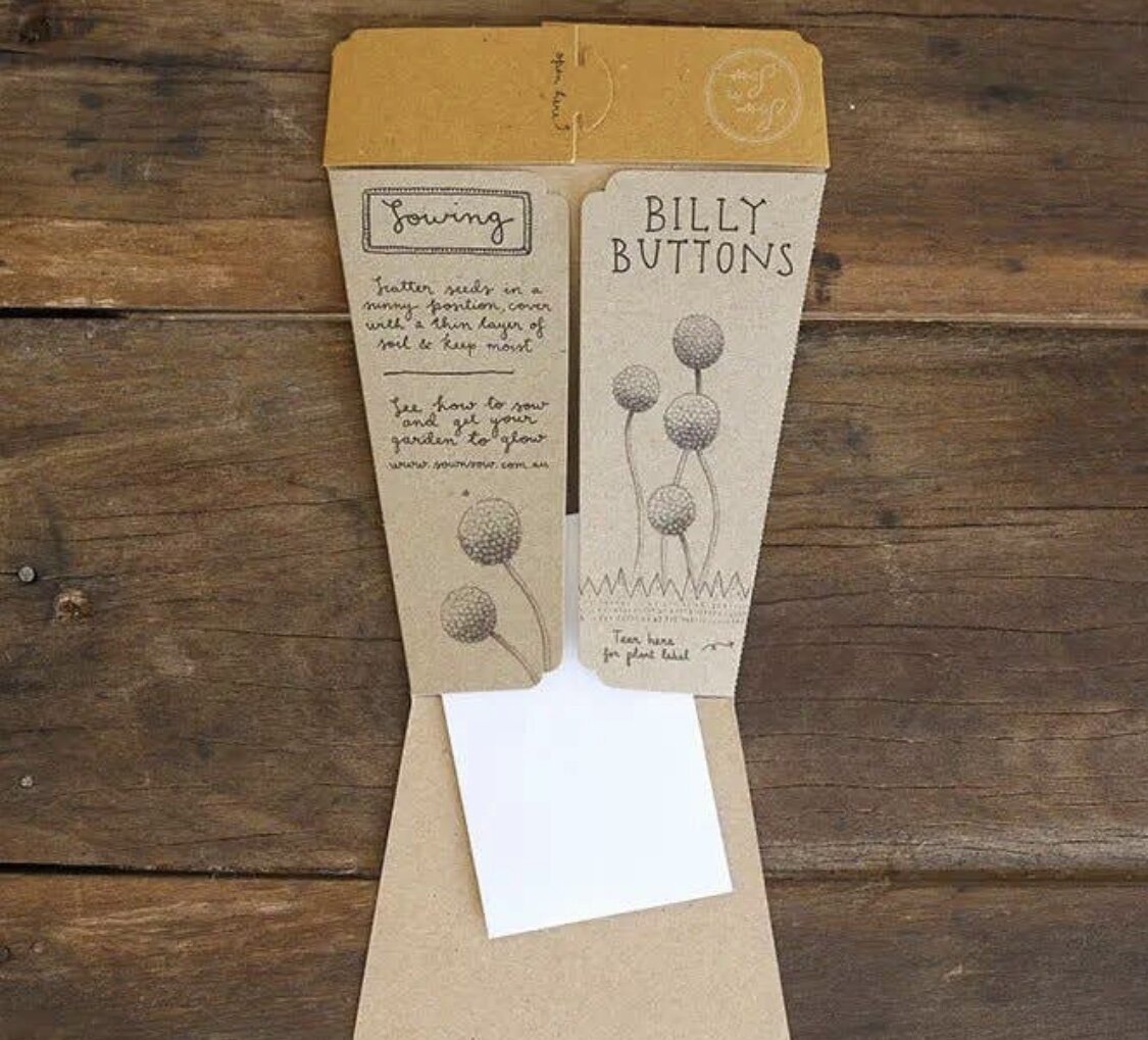 Billy Buttons Gift of Seeds - Sow n Sow - Pepper Tree Kids