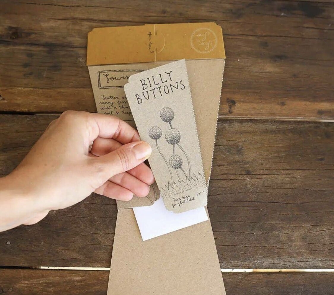 Billy Buttons Gift of Seeds - Sow n Sow - Pepper Tree Kids