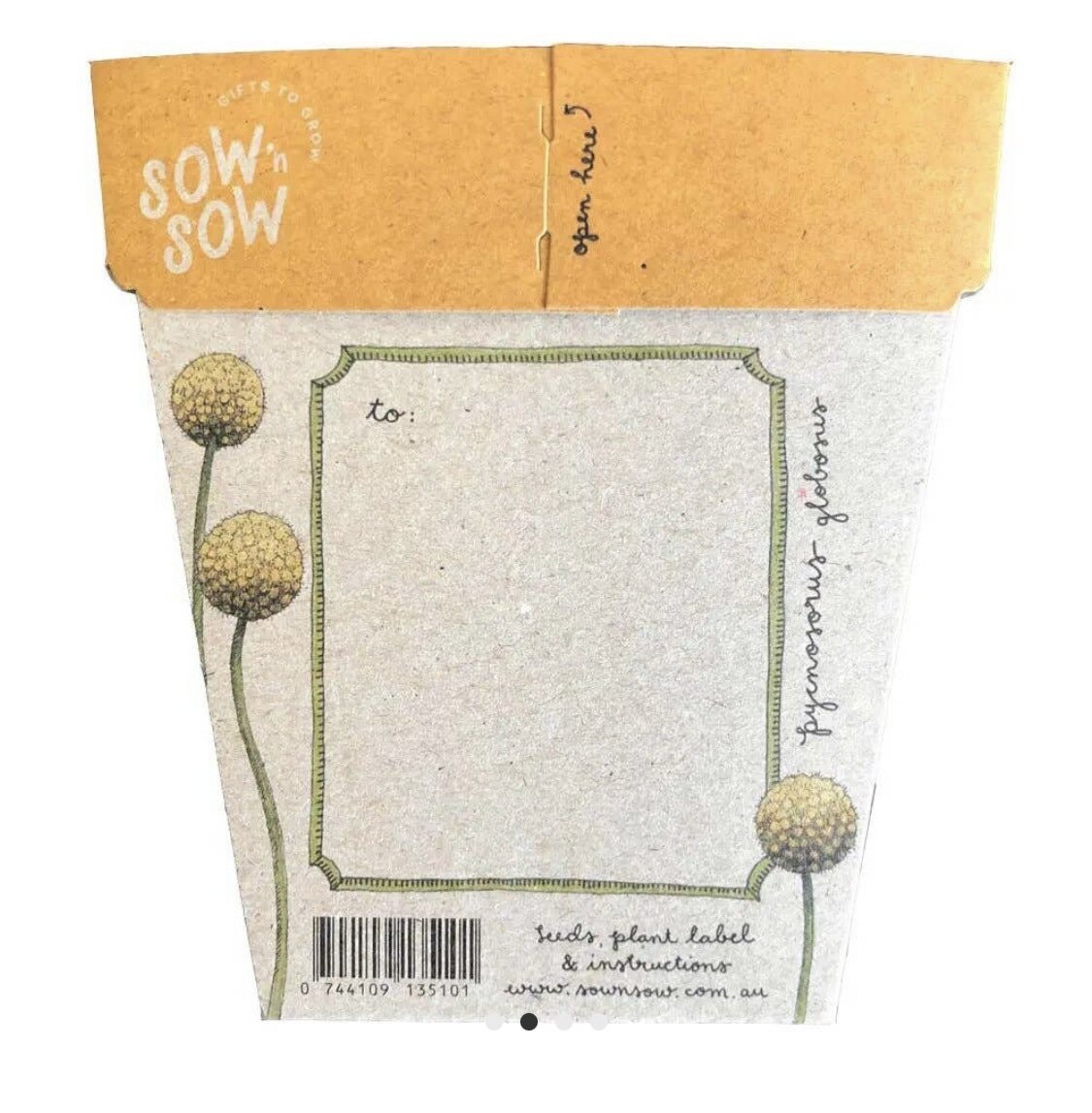 Billy Buttons Gift of Seeds - Sow n Sow - Pepper Tree Kids